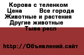 Корова с теленком › Цена ­ 69 - Все города Животные и растения » Другие животные   . Тыва респ.